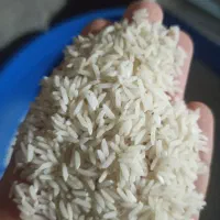 برنج طارم هاشمی