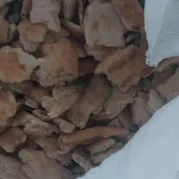 نان خشک دام فروش تناژ بالا/یکدست بربری/بدون ضایعات