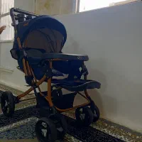 کالسکه مارک دلیجان