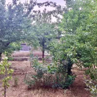 خانه باغ سنددار ۱۱۰۰ متری در روستای امن جاده چالوس|فروش خانه و ویلا|آسارا, |دیوار