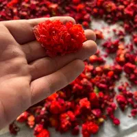 فروش گلنار فارسی