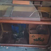 آکواریوم|ماهیگیری|مشهد, پنجتن|دیوار