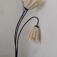 اباژور سالم