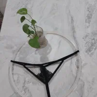 شورت زنانه|لباس|گرگان, |دیوار