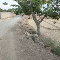 اجاره 100هکتار زمین کشاورزی وردشت سمیرم