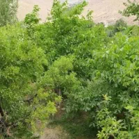 واحد مسکونی درشهرک قائم