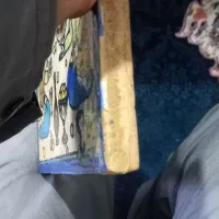 تابلو نقاشی|کلکسیون اشیاء عتیقه|اراک, |دیوار