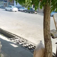 سایه بان مغازه ای