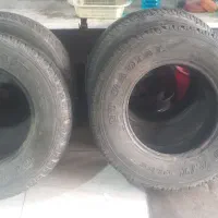 لاستیک پاترول