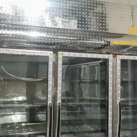 فریزر دومتری طلایی درحد219میلیون