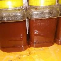 قیصی زردآلوکشمش شیره انگور دوشاب|خوردنی و آشامیدنی|مشگین شهر, |دیوار