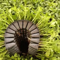 نشا گوجه و هندوانه***|خدمات باغبانی و درختکاری|شیراز, احمدآباد|دیوار