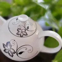 قوری متوسط نو نو