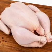 فیش مرغ