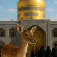 تور مشهد( نقد اقساط) فوری با اتوبوس اسکانیا