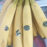 کارتن موزی نو دانه ۲۰۰۰۰