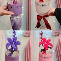 گل ربانی و مخملی