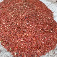 تخم هندوانه ژاپنی دونه درشت درجه یک|خوردنی و آشامیدنی|قلندر آباد, |دیوار