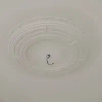 سفید کاری صادقی|خدمات پیشه و مهارت|جم, |دیوار