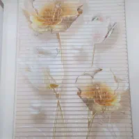 پرده زبرا تمیز