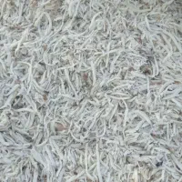 کاه گندم تفاله چغندر تازه بیده پرس... کاه لوبیا|عمده‌فروشی|پاریز, |دیوار