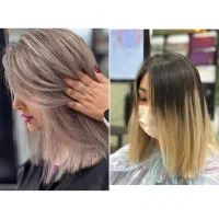 دستیار ماهر در زمینه رنگ ولایت