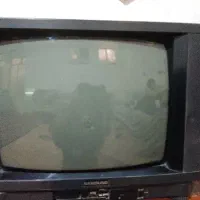 تلوزیون