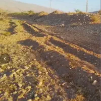 زمین ۱۰۰۰ متری بین نید شهر و شهرک فتح المبین