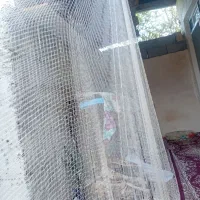 کولی ماشک|ماهیگیری|رشت, آتشگاه|دیوار