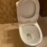 دستشویی فرنگی