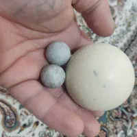 سنگ|کلکسیون اشیاء عتیقه|اندیشه, شهرک کوثر|دیوار