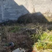 زمین در آسایش ۱۷|فروش زمین و ملک کلنگی|رشت, سلیمانداراب|دیوار