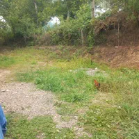 فروش ویلای سنتی قابل سکونت|فروش خانه و ویلا|اطاقور, |دیوار