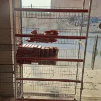 قفسه|فروشگاه و مغازه|اهواز, کوی مهدیس|دیوار