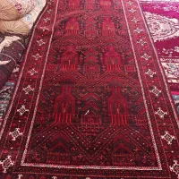 فرش دستبافت|فرش|زابل, |دیوار