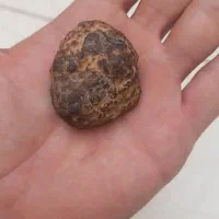 شهاب سنگ|کلکسیون اشیاء عتیقه|میمند, |دیوار