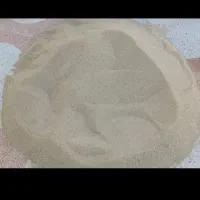 بذر گوجه ای|خدمات باغبانی و درختکاری|کوهدشت, |دیوار