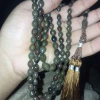 شاه مقصود پادزهر