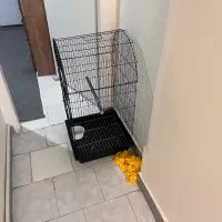 قفس پرنده