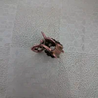 دوعدد انگشتر گم کردم