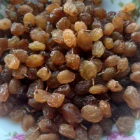 کشمش وشیره انگورکشمشی|خوردنی و آشامیدنی|مشهد, بهمن|دیوار