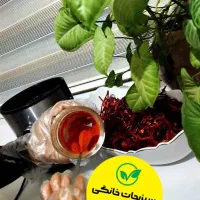 فروش سبزیجات و چای میوه خشک شده با کیفیت|خوردنی و آشامیدنی|هشتگرد, فاز ۳ مهستان|دیوار