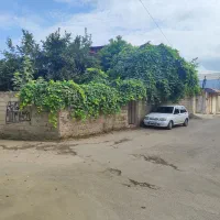 زمین مسکونی دوبر|فروش زمین و ملک کلنگی|امیرکلا, |دیوار