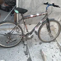 دوچرخه دنده ای|دوچرخه، اسکیت، اسکوتر|سرپل ذهاب, |دیوار