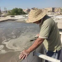 بنا وتخریبکار