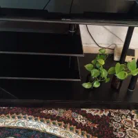 زیر تلویزیونی|میز تلویزیون|شیراز, آزادگان|دیوار