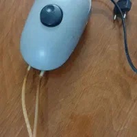 پمپ اکواریوم|ماهی|رباط‌کریم, رباط‌کریم|دیوار