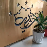 گارسون یا سالندار