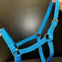 کله گیر پا آخوری اسب و گاو|اسب و تجهیزات اسبسواری|لاهیجان, کوی آزادگان|دیوار