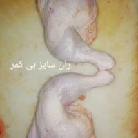 لیست مرغ و قطعه مرغ تازه